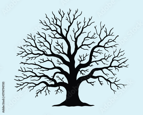 Detailed oak tree silhouette without leaves, showcasing stark natural elegance, perfect for vector clipart, logos, branding, nature designs, educational materials, environmental projects, and creative