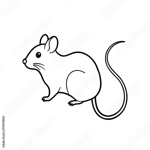 Simple outline drawing of mouse