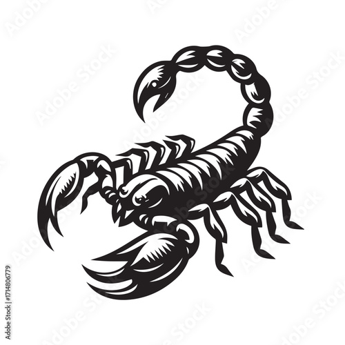 black and white scorpion vector logo