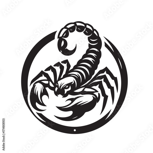 black and white scorpion vector logo