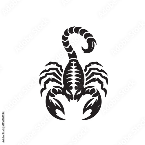 black and white scorpion vector logo