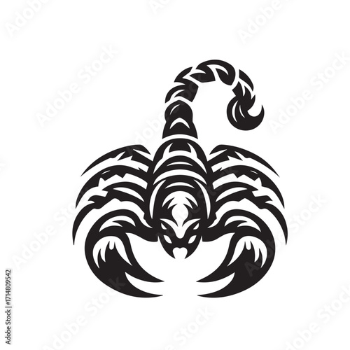 black and white scorpion vector logo