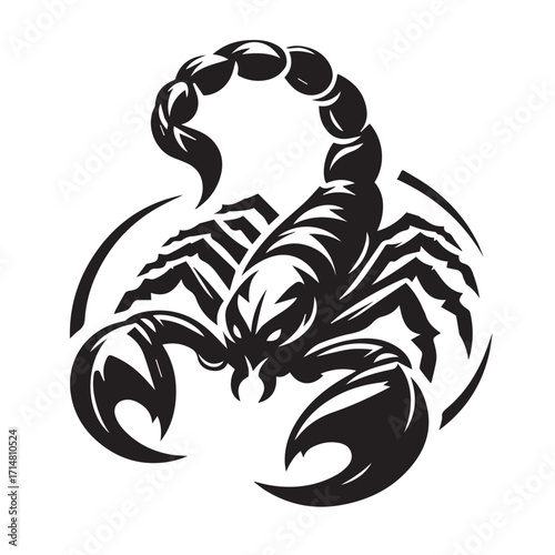 black and white scorpion vector logo
