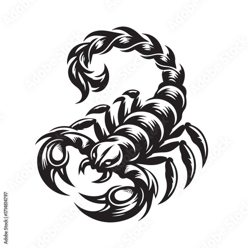 black and white scorpion vector logo