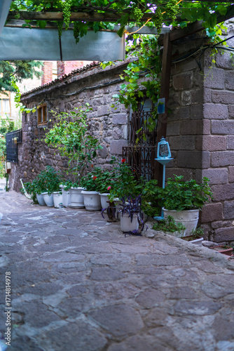 Charming stone village street in Assos Turkey with grape vines, potted plants and traditional Mediterranean architecture, rustic cobblestone alley with lantern