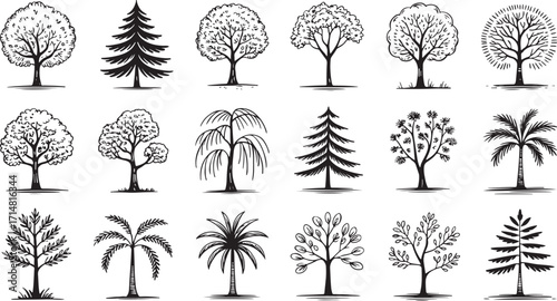 Hand drawn tree set of 20 unique sketch illustrations including palm pine willow bamboo and deciduous forest elements.