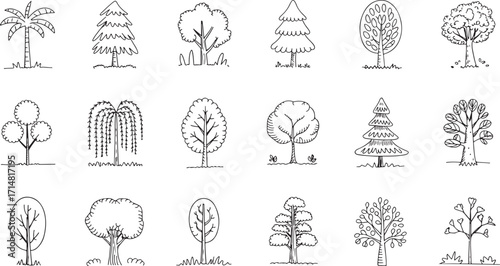 Hand drawn tree set of 20 unique sketch illustrations including palm pine willow bamboo and deciduous forest elements.