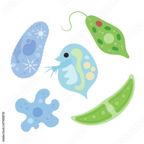 かわいい微生物のイラスト素材