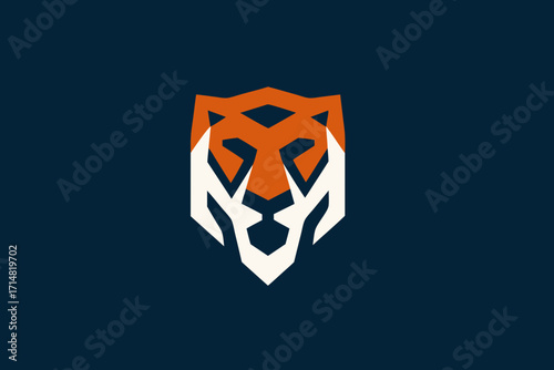 flag of south korea