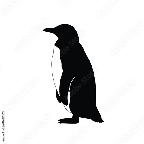 A striking black penguin form against a white background silhouette