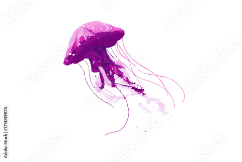 jellyfish on black background