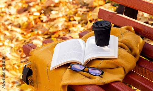 Open book, hot coffee and eyeglasses on a warm blanket outdoors on a bench in autumn park. Cozy fall atmosphere. Reading, studying, and relaxation concept. Selective focus.