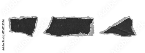 torn paper irregular scraps set, png on transparent background
