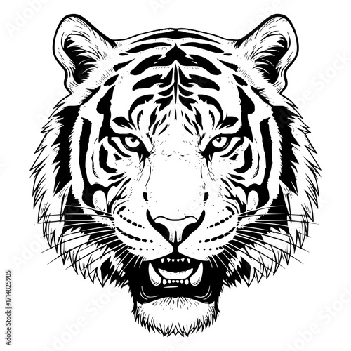 White tiger head vector illustration for a wild animal tattoo design