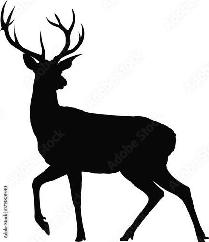 Black stag walking white background deer silhouette
