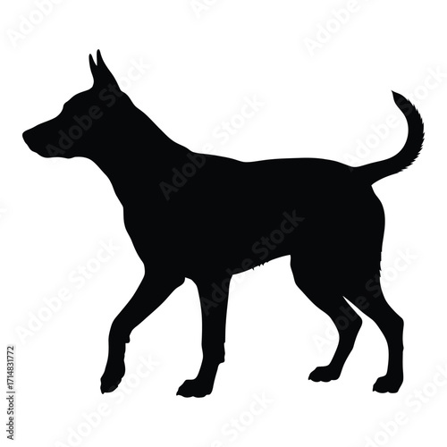 A striking black dog profile against a white backdrop a beautiful silhouette
