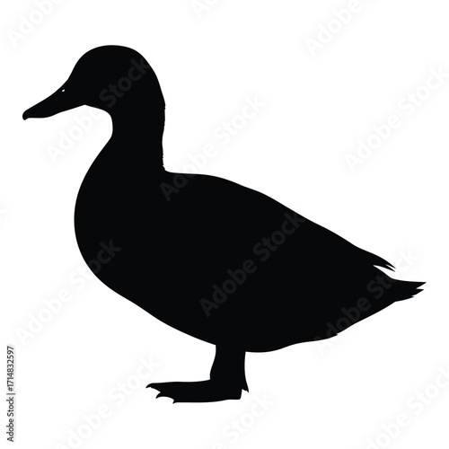 A striking black duck form beautifully defined in silhouette
