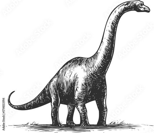 Brachiosaurus sketch hand drawn dinosaur with long neck and tail — stock vector