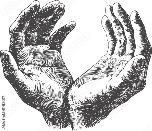 Open hands sketch hand drawn style detailed palms facing up — stock vector