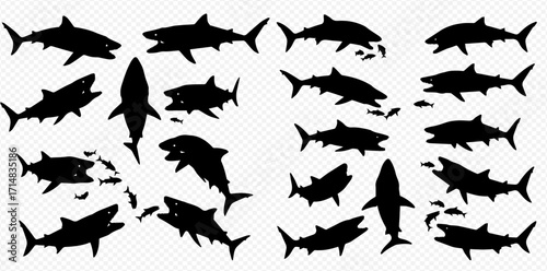 A collection of black shark silhouettes in various swimming poses and aggressive actions on a transparent background.