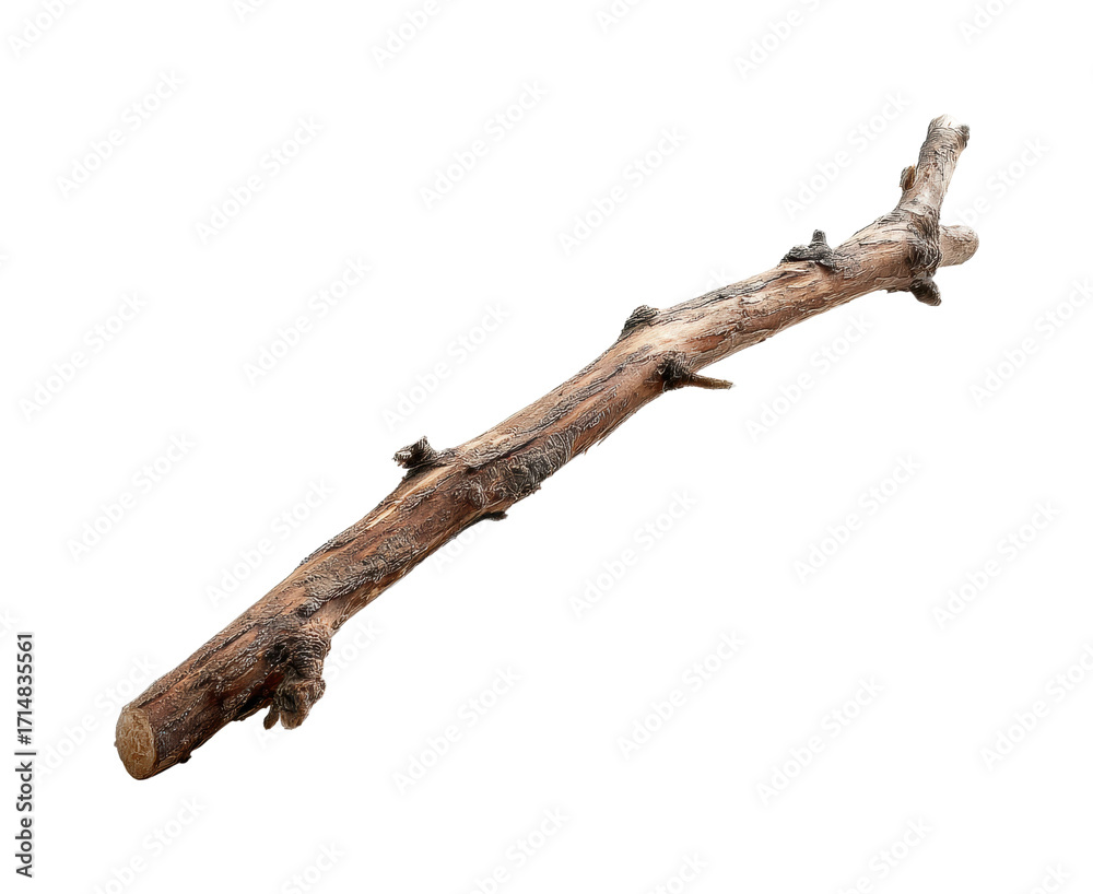 Fototapeta premium Collecting twigs for crafts environment nature scene PNG, isolated on transparent background