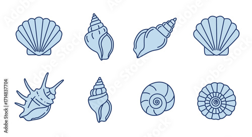 A Collection of Beautiful Blue Seashell Illustrations Perfect for Coastal Decor and Marine-Themed Projects
