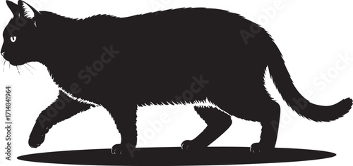 Black cat silhouette walking on white background animal
