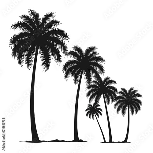 Silhouette of five palm trees in descending height for tropical and nature themes on a white background. EPS 10.