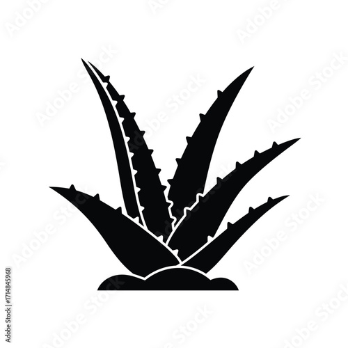 Silhouette of aloe vera plant with serrated leaves growing from soil on a white background. EPS 10.