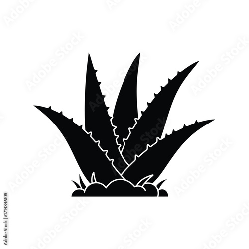 Silhouette of aloe vera plant with serrated leaves growing from soil on a white background. EPS 10.