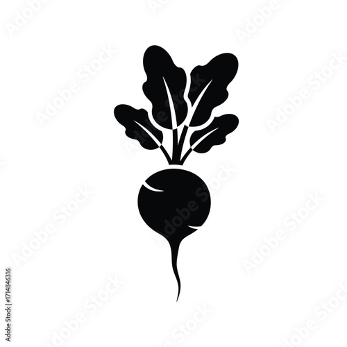 Stylized silhouette of radish with leafy greens and root detail on a white background. EPS 10.