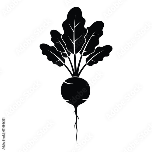 Stylized silhouette of radish with leafy greens and root detail on a white background. EPS 10.