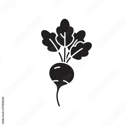Stylized silhouette of radish with leafy greens and root detail on a white background. EPS 10.