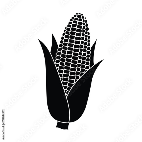 Silhouette of corn ear with partially peeled husk and visible kernels on a white background. EPS 10.