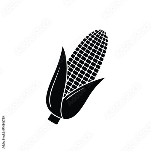 Silhouette of corn ear with partially peeled husk and visible kernels on a white background. EPS 10.