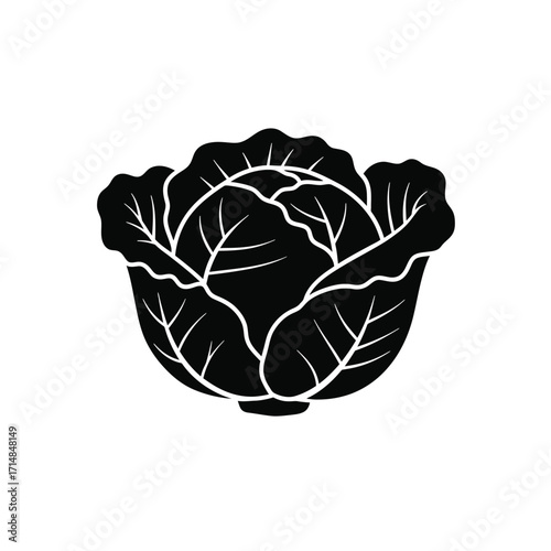 Stylized silhouette of cabbage with detailed overlapping leaves on a white background. EPS 10.