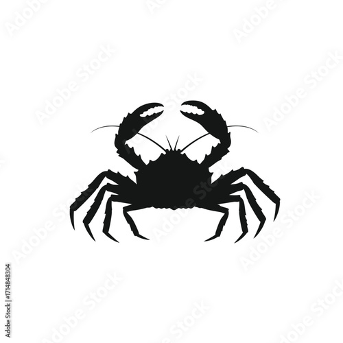 Silhouette of crab with raised claws and detailed legs on a white background. EPS 10.