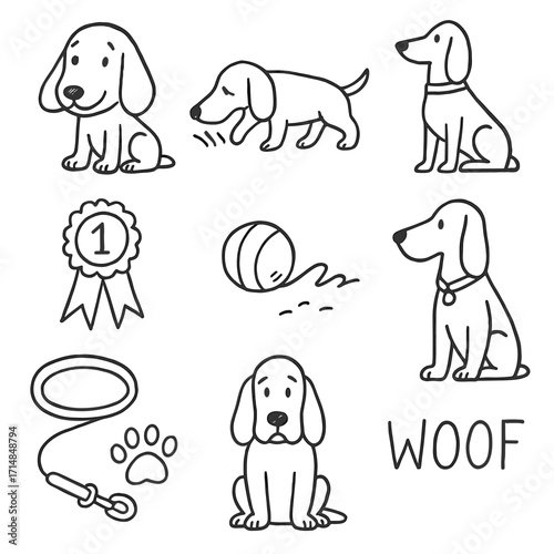 Bloodhound cartoon illustrations including leash, ball and paw print , vector set