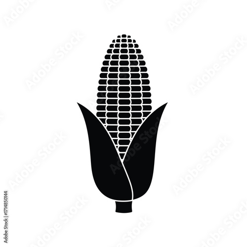 Silhouette of corn ear with partially peeled husk and visible kernels on a white background. EPS 10.