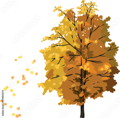 Horse chestnut with bright orange autumn crown and falling leaves isolated on white background