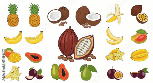 Fruits tropical fruit assortment including pineapple, banana, coconut, mango, papaya, passion fruit, carambola, cacao vector