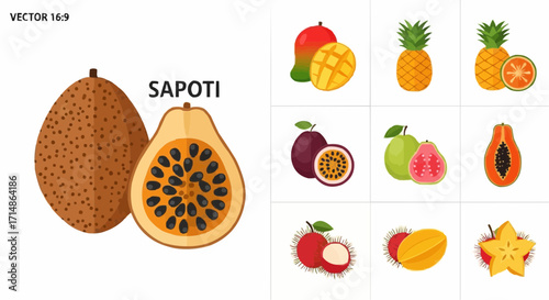 Fruits exotic fruits illustration vector set including sapoti mango pineapple guava passion fruit papaya and rambutan art vector