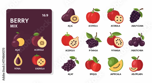 Fruits berry mix illustration featuring acai acerola jabuticaba pitanga renal exerola açaf brqus japricala abuncaba fruits vector