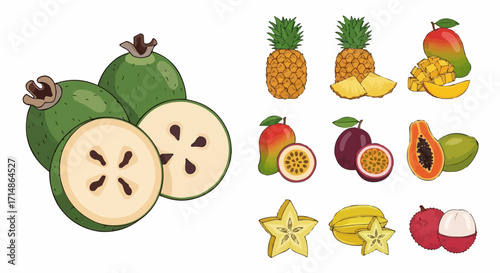 Fruits stock illustration of tropical fruits feijoa pineapple mango passionfruit papaya starfruit and lychee vector art vector