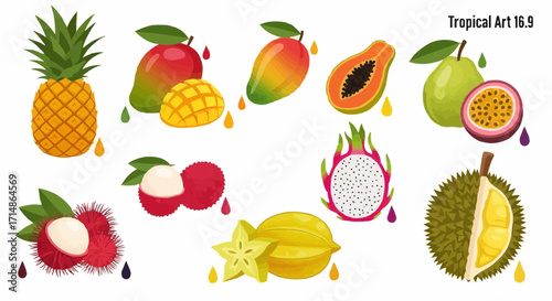 Fruits exotic tropical fruits illustration featuring pineapple mango papaya passion fruit durian lychee and carambola vector