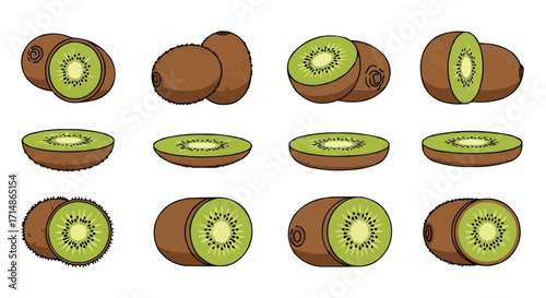 Fruits illustration of fresh kiwi fruit whole and sliced kiwi fruit drawing healthy food tropical fruit still life 100 vector