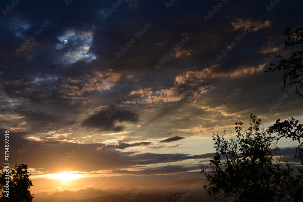 Fototapeta premium sunset in the sky