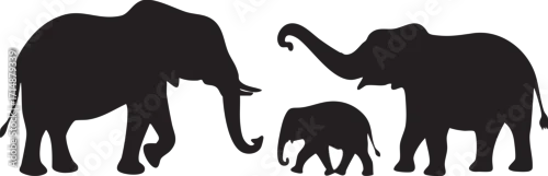 Fototapeta samoprzylepna Elephant Family Silhouette | Elephant Vector Outline & Clipart
