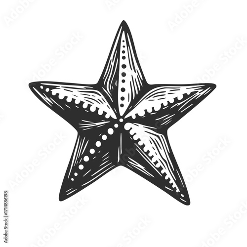 Starfish Silhouette Illustration. Marine Life And Ocean Theme Isolated Vector Illustration