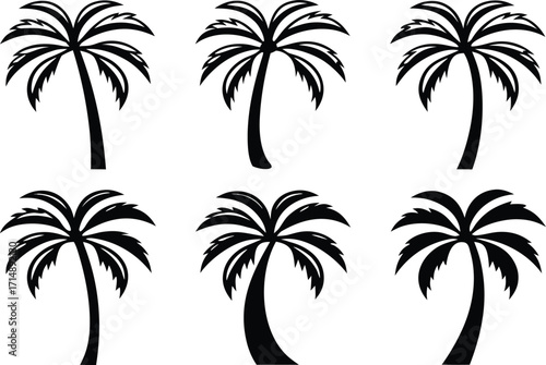 Tropical Palm Tree Silhouette Artwork. Classic Palm Tree Silhouette Design Concept. Simple Palm Tree Silhouette Clip Art. Decorative Palm Tree Silhouette Illustration. Palm Tree Silhouette for Summer